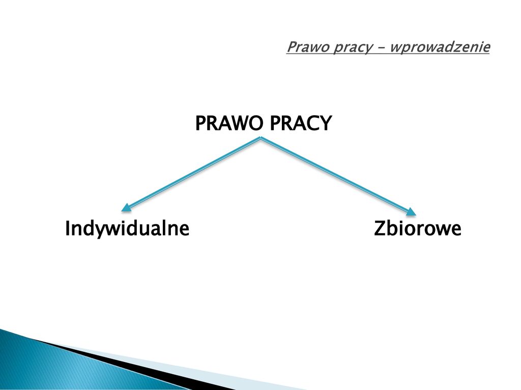 Podstawy Prawa Pracy Ssa Ii Prawo Pracy Wprowadzenie Ppt Pobierz